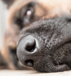 Similar image 5443080