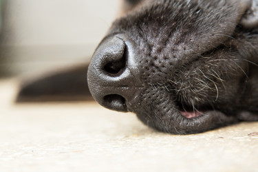 Similar image 5443082