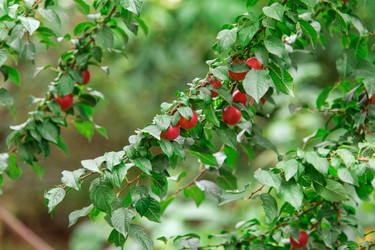 Similar image 5443087