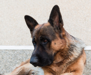 Similar image 5443093