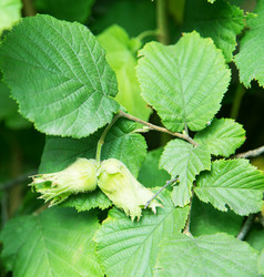 Similar image 5443098