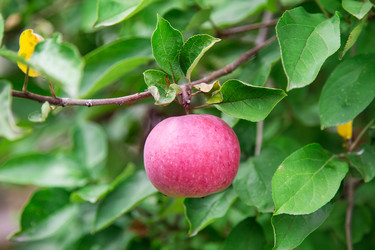 Similar image 5443102