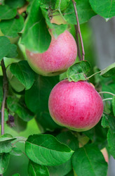 Similar image 5443103