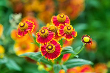 Similar image 5443105