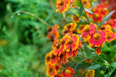 Similar image 5443106