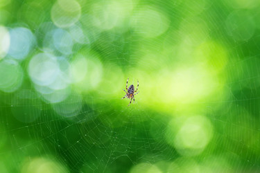 Similar image 5443108