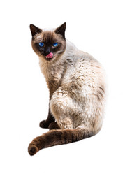 Similar image 5443110