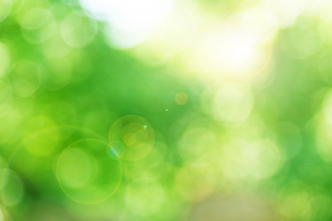 Similar image 5443123