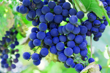 Similar image 5443131