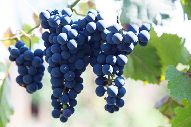 Similar image 5443132