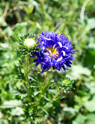 Similar image 5443134