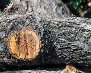 Similar image 5443135