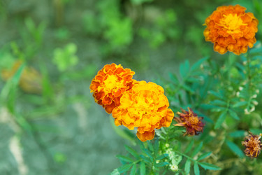 Similar image 5443137