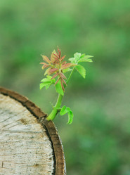 Similar image 5443151