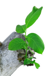 Similar image 5443152