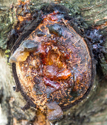 Similar image 5443153