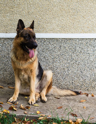 Similar image 5443154