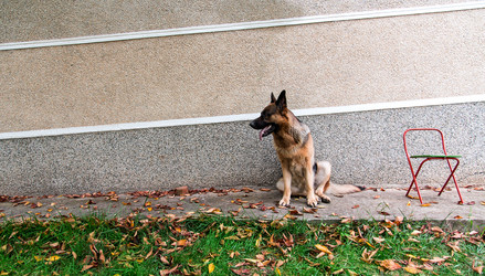 Similar image 5443155