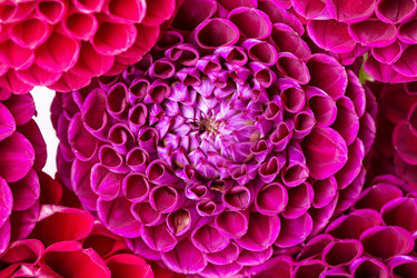 Similar image 5443156