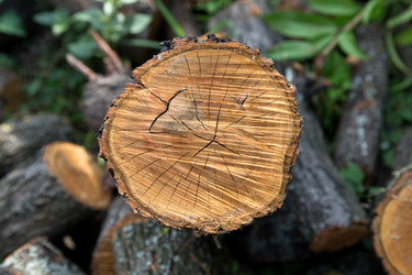 Similar image 5443157