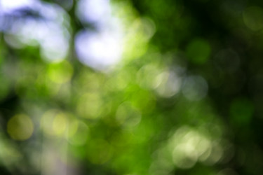 Similar image 5443158