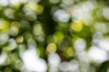 Similar image 5443159