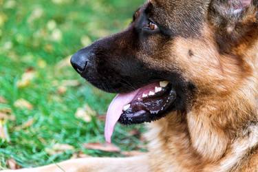 Similar image 5443161