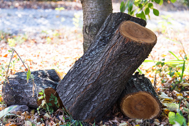 Similar image 5443163