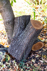 Similar image 5443164