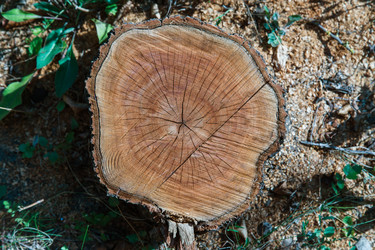 Similar image 5443166