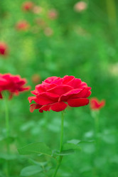 Similar image 5443167