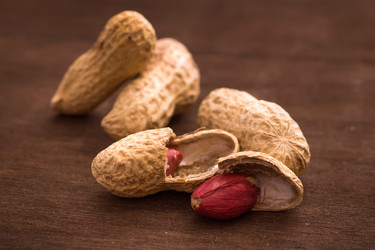 Similar image 5443282