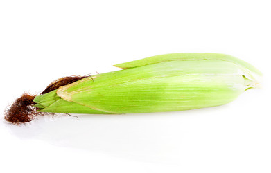 Similar image 5443465