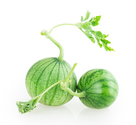 Similar image 5443467