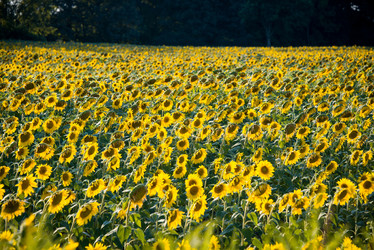 Similar image 5443509