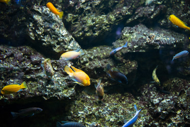 Similar image 5443555