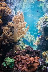 Similar image 5443571