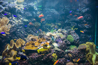 Similar image 5443572