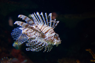 Similar image 5443582