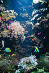 Similar image 5443584