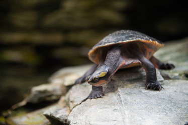 Similar image 5443587