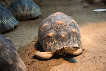 Similar image 5443601