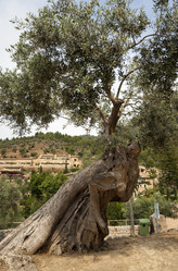 Similar image 5443948