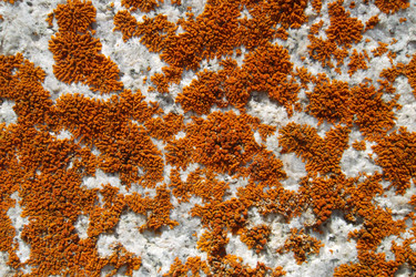 Similar image 5444027