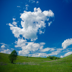 Similar image 5444049