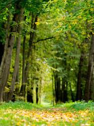 Similar image 5444054