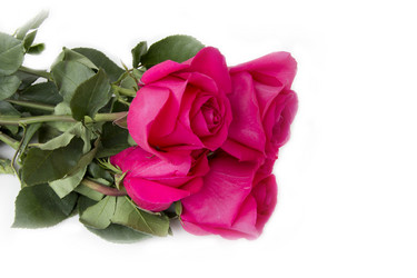 Similar image 5444056