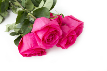 Similar image 5444057