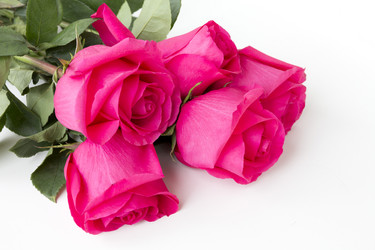 Similar image 5444058