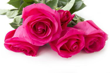 Similar image 5444059